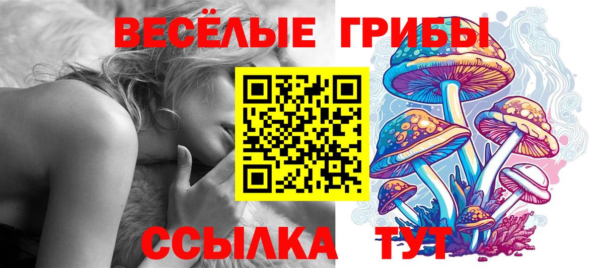 Острогожск  Псилоцибиновые грибы MAGIC MUSHROOMS  закладки  Вход с VPN  Псилоцибиновые грибы Cubensis 