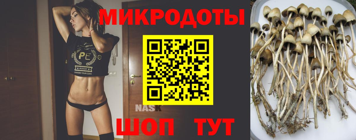 Псилоцибиновые грибы ЛСД Острогожск